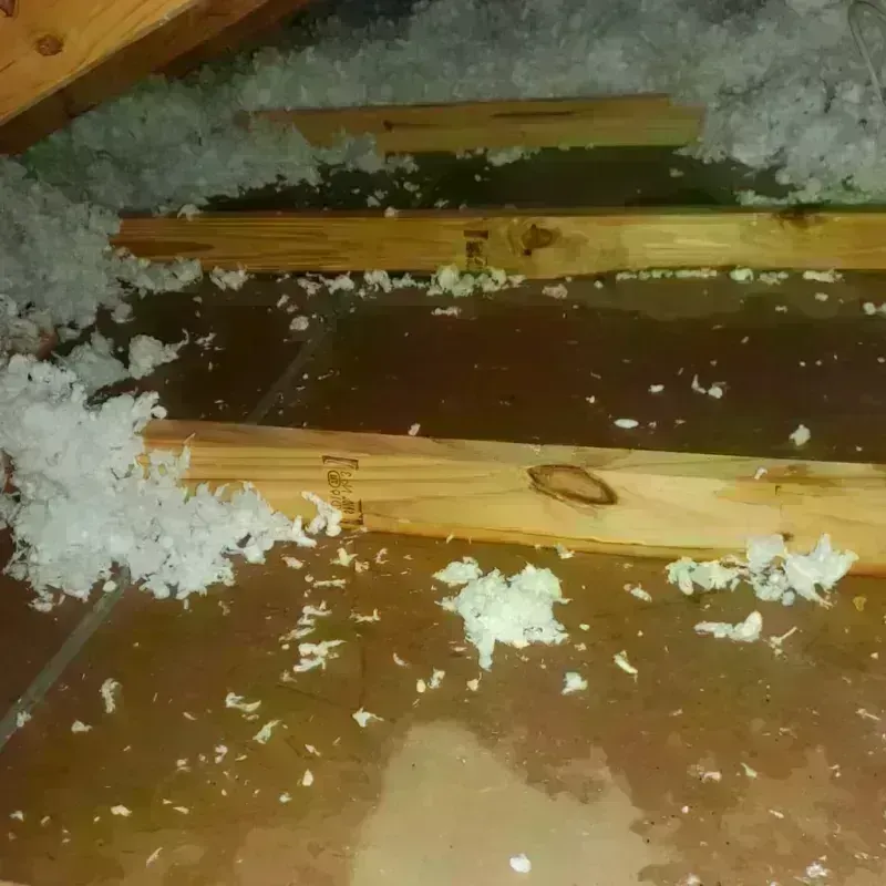 Attic Water Damage in Turtle Creek, PA